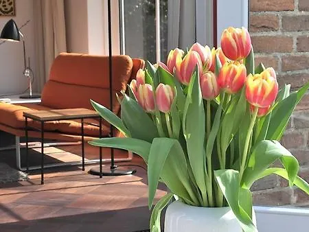 Huis Van Oranje Vakantiehuis *